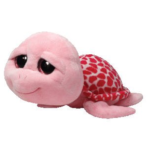 Shellby | February 21