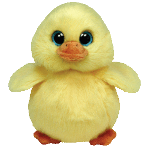 Duckling | March 20