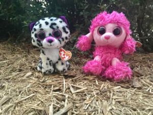 Patsy and Violet