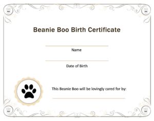 Beanie Boo Birth Certificate Image