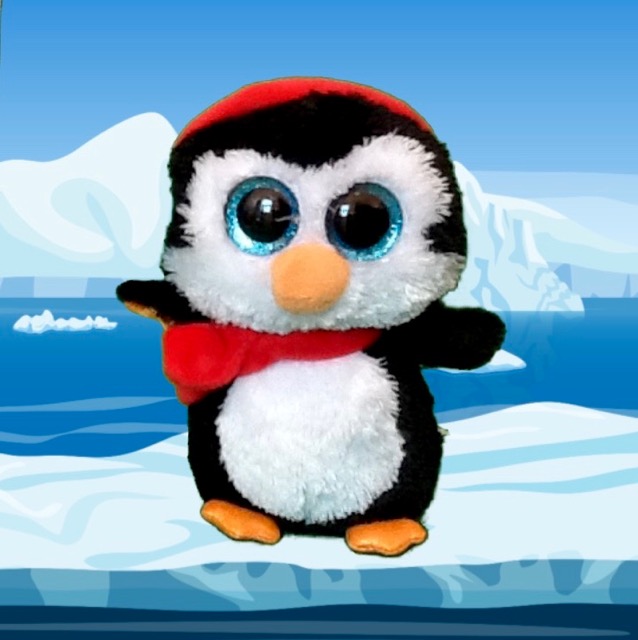 North in Antarctica