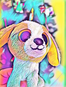 Beanie Boo Cookie Keychain Art