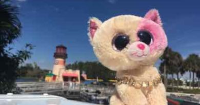 Anabelle-at-home
