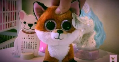 Beanie Boo Girl Videos