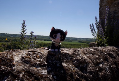 Pepper on Castle Walls