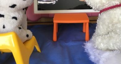 Gatsby and Fetch Review Videos