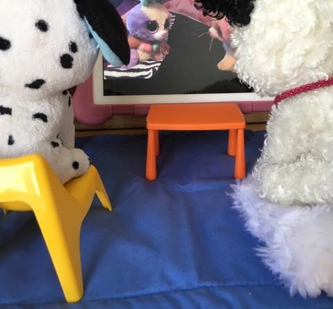 Gatsby and Fetch Review Videos