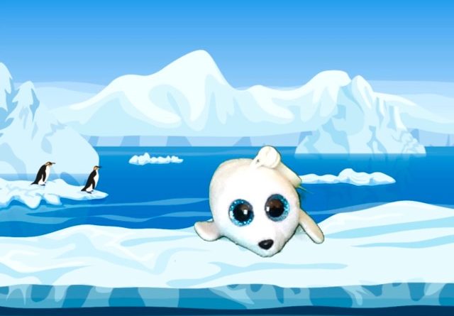 Icy the Seal Beanie Boo
