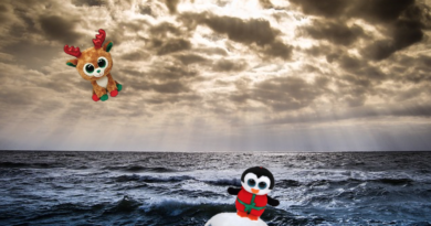 Beanie Boo Alpine flies over ocean