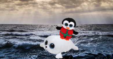 Beanie Boos Chill and Icy are lost at sea.