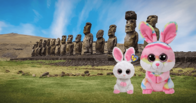 Beanie Boo Bunnies on Easter Island