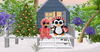 North Pole Dreams: Beanie Boo Video Series